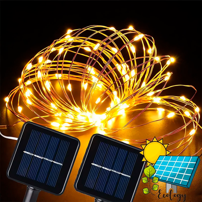 Luces Solares Decorativas (20M)